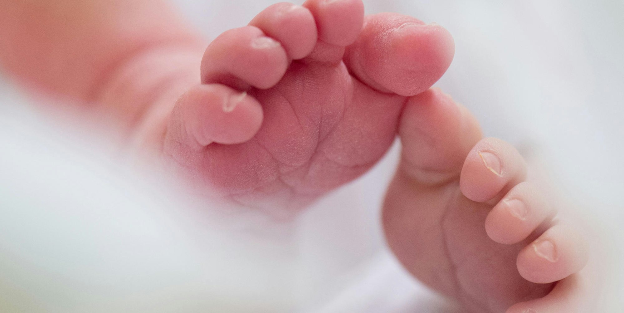 MDS-KR-2020-08-25-71-164361676