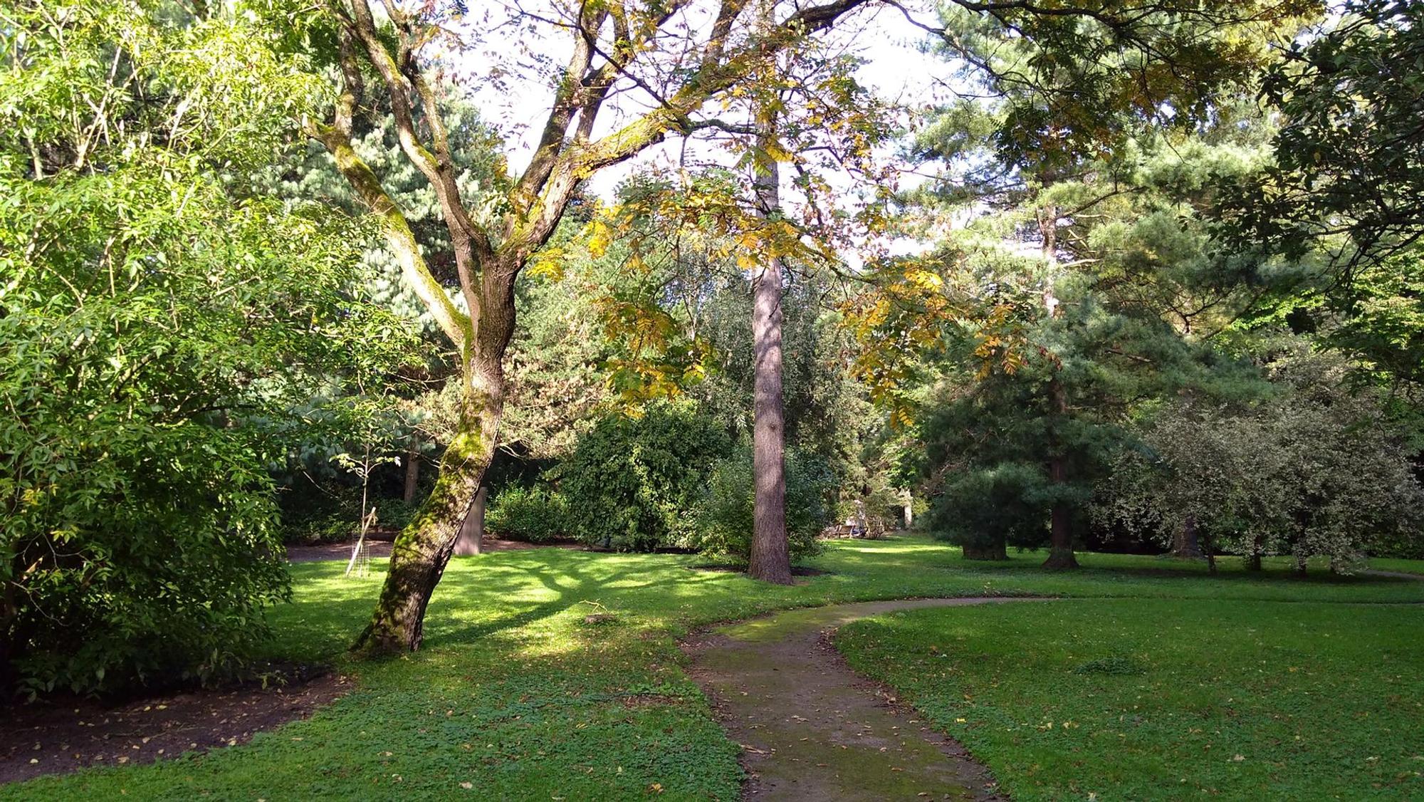 Weg zwischen Bäumen im Forstbotanischen Garten in Köln.