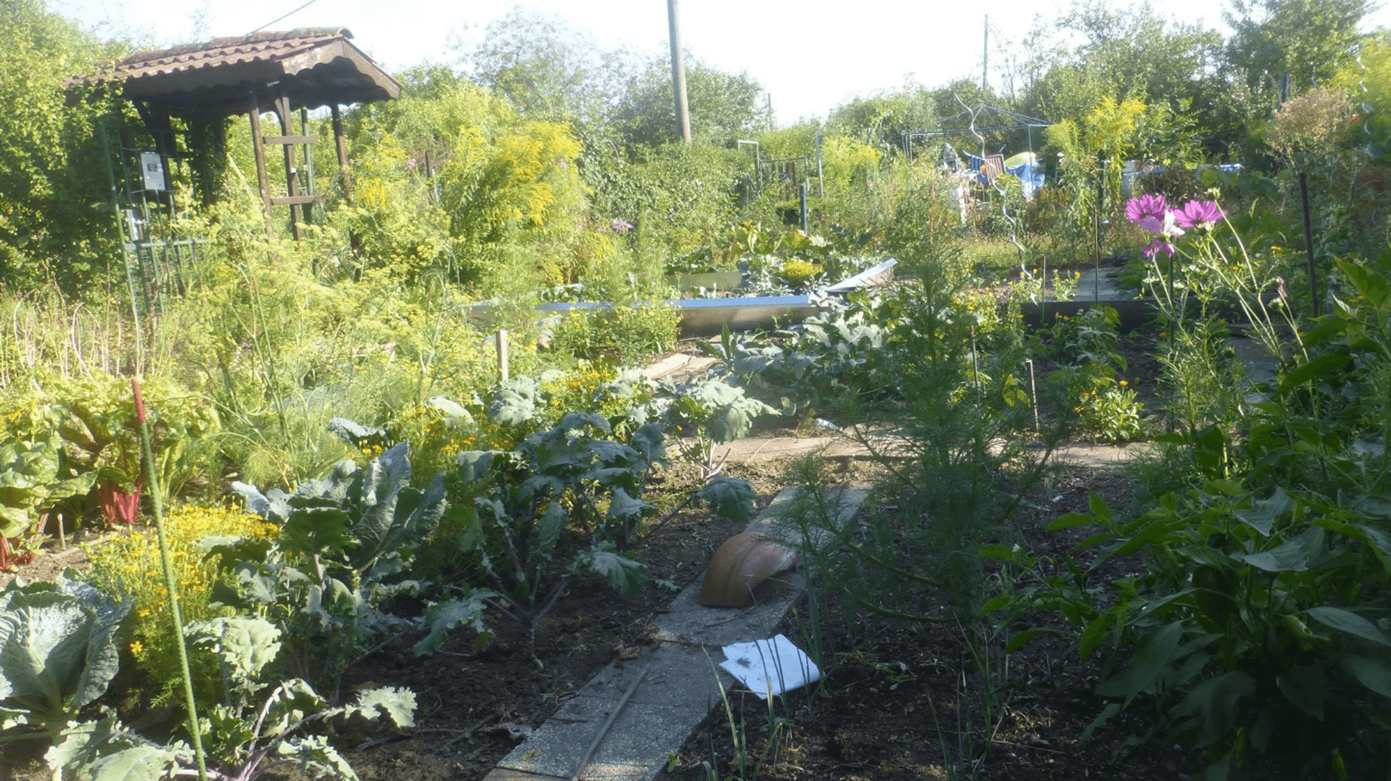 vitalisgarten Gartenwekstatt Ehrenfeld (1)