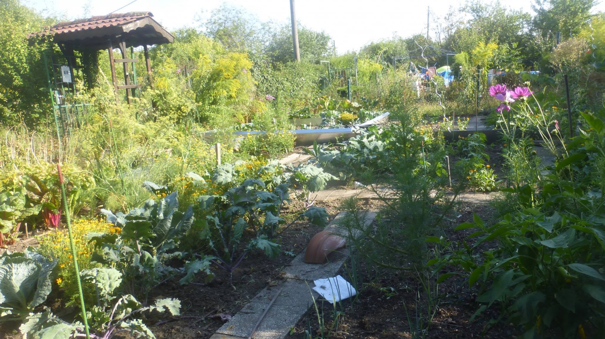 vitalisgarten Gartenwekstatt Ehrenfeld (1)