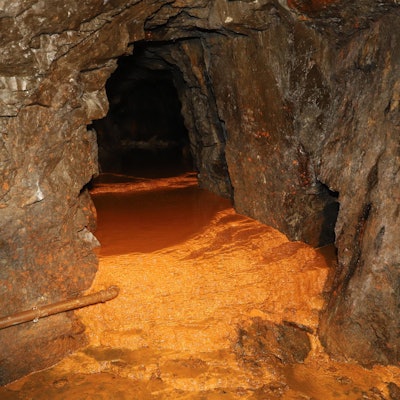 Mikroorganismen_in_Rescheid_10