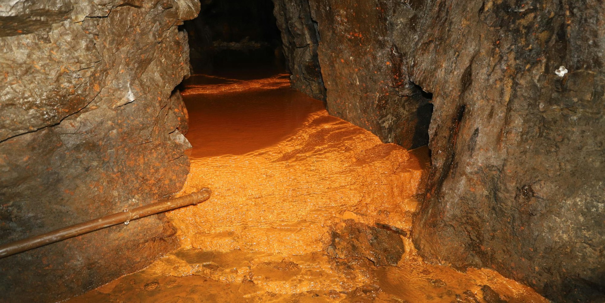 Mikroorganismen_in_Rescheid_10