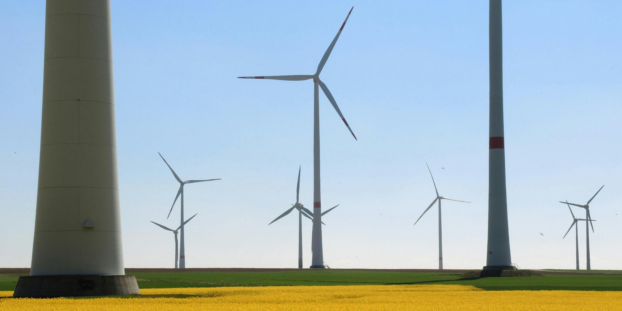 Windraeder_und_Rapsf_65176352