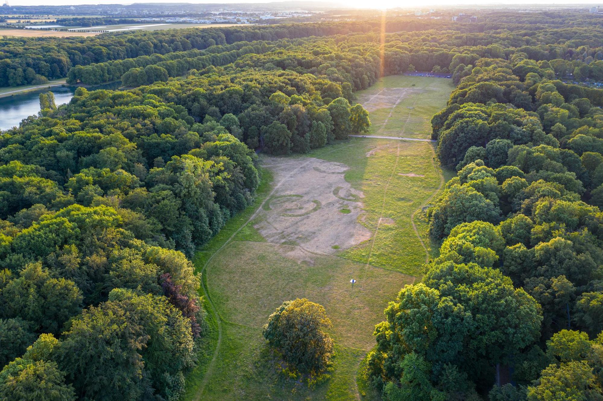 Luftbild der Gleueler Wiese im Grüngürtel