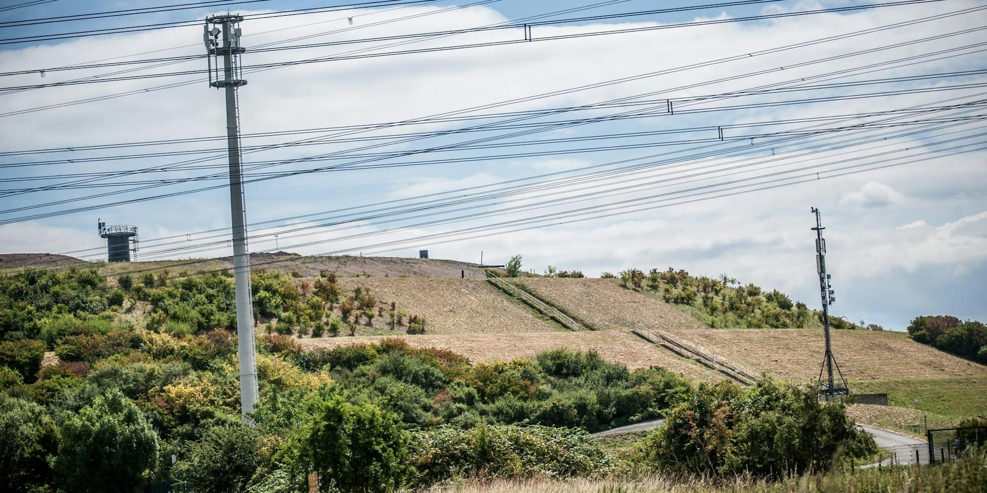 dartpfeil-ralf_rar_rle_07162022ALF_1680