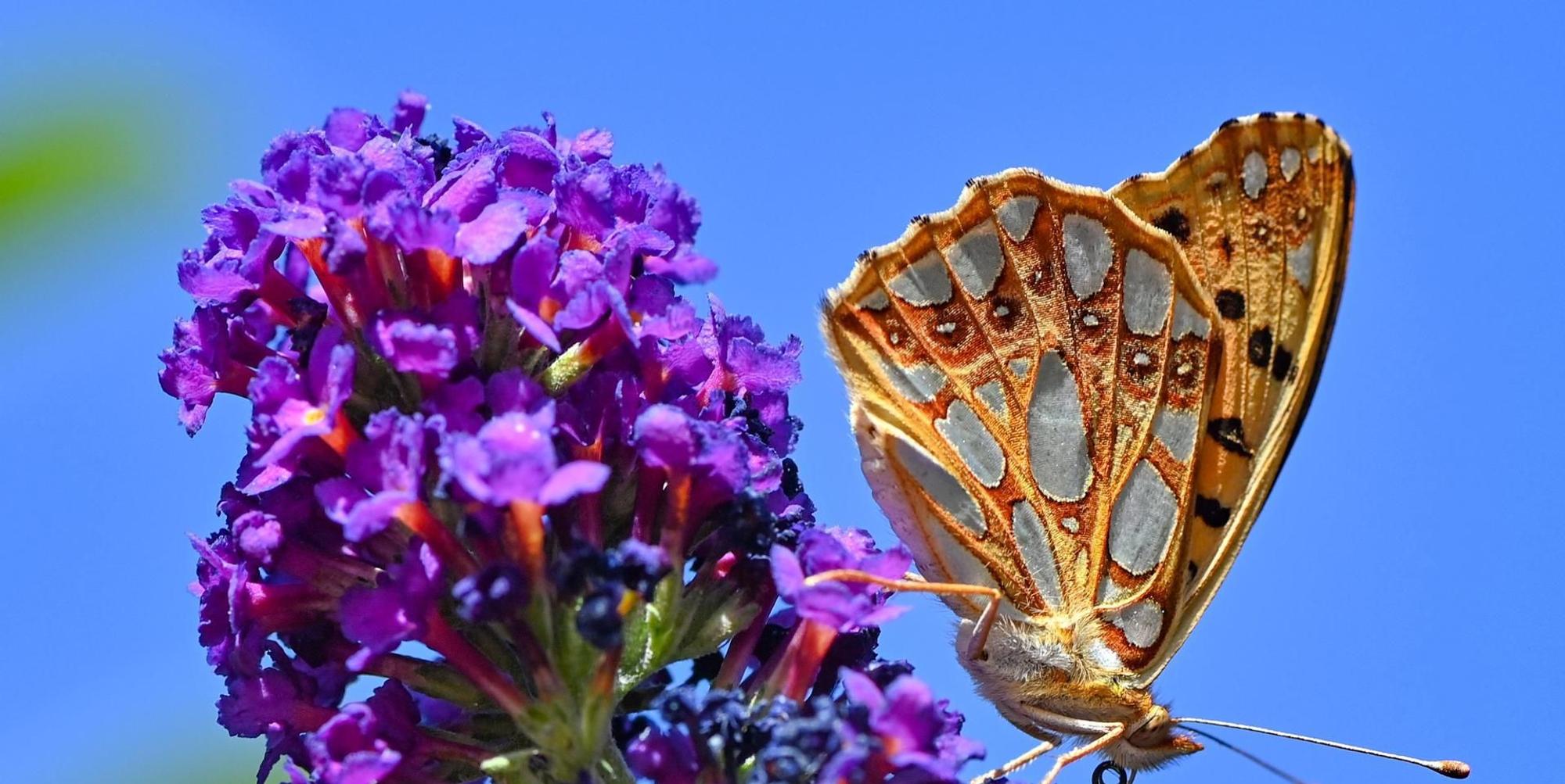 Neuer Inhalt