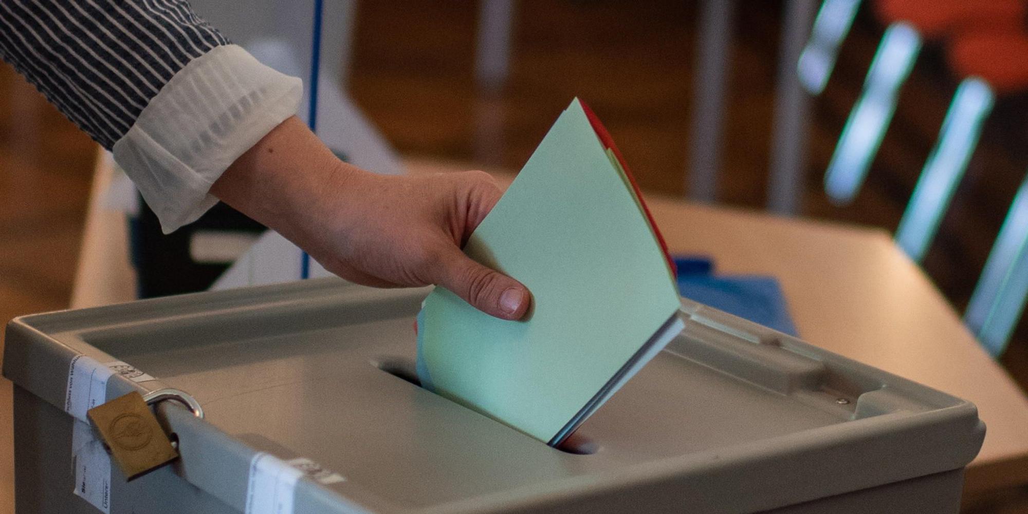wahl2020_symbol