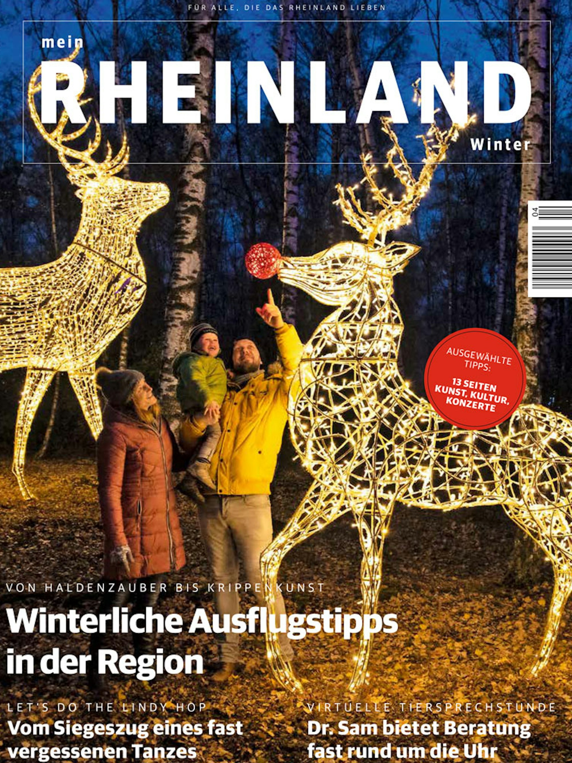 winter01meinRheinland