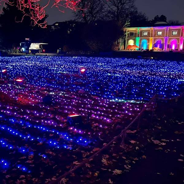 christmas garden