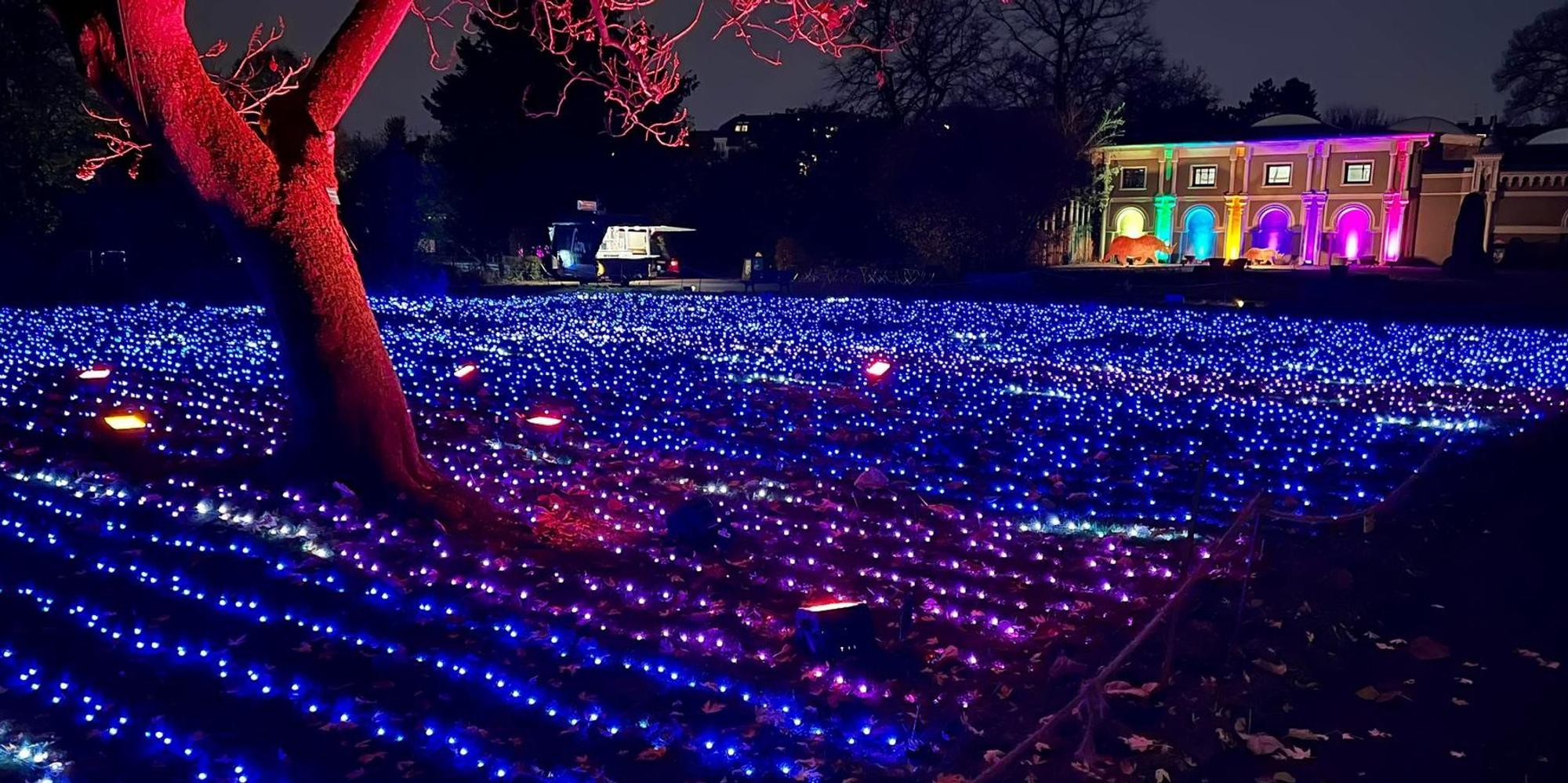 christmas garden