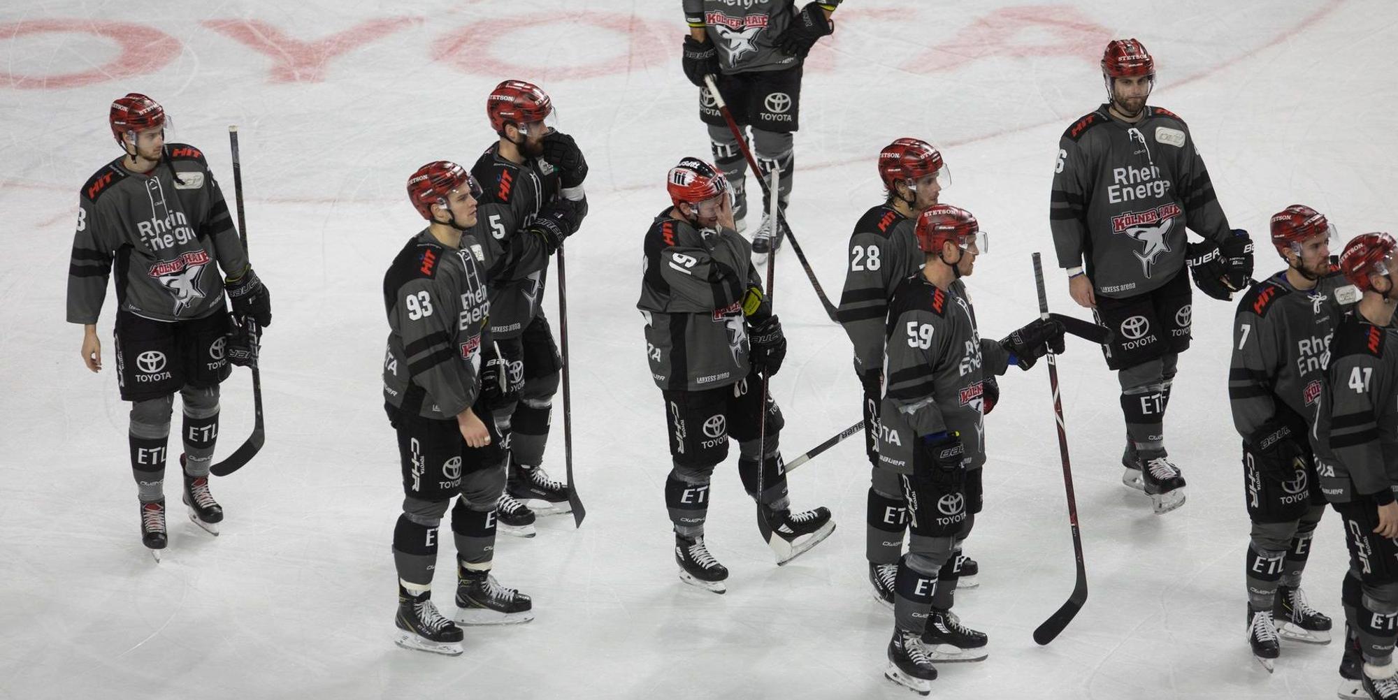 Haie_Krefeld
