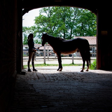 Reiterhof Symbolbild