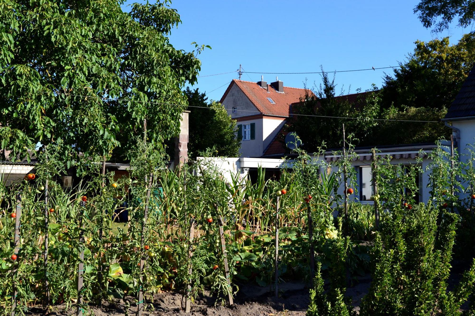 Garten Immendorf