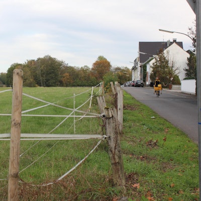 MDS-KSTA-2019-11-07-71-154090191