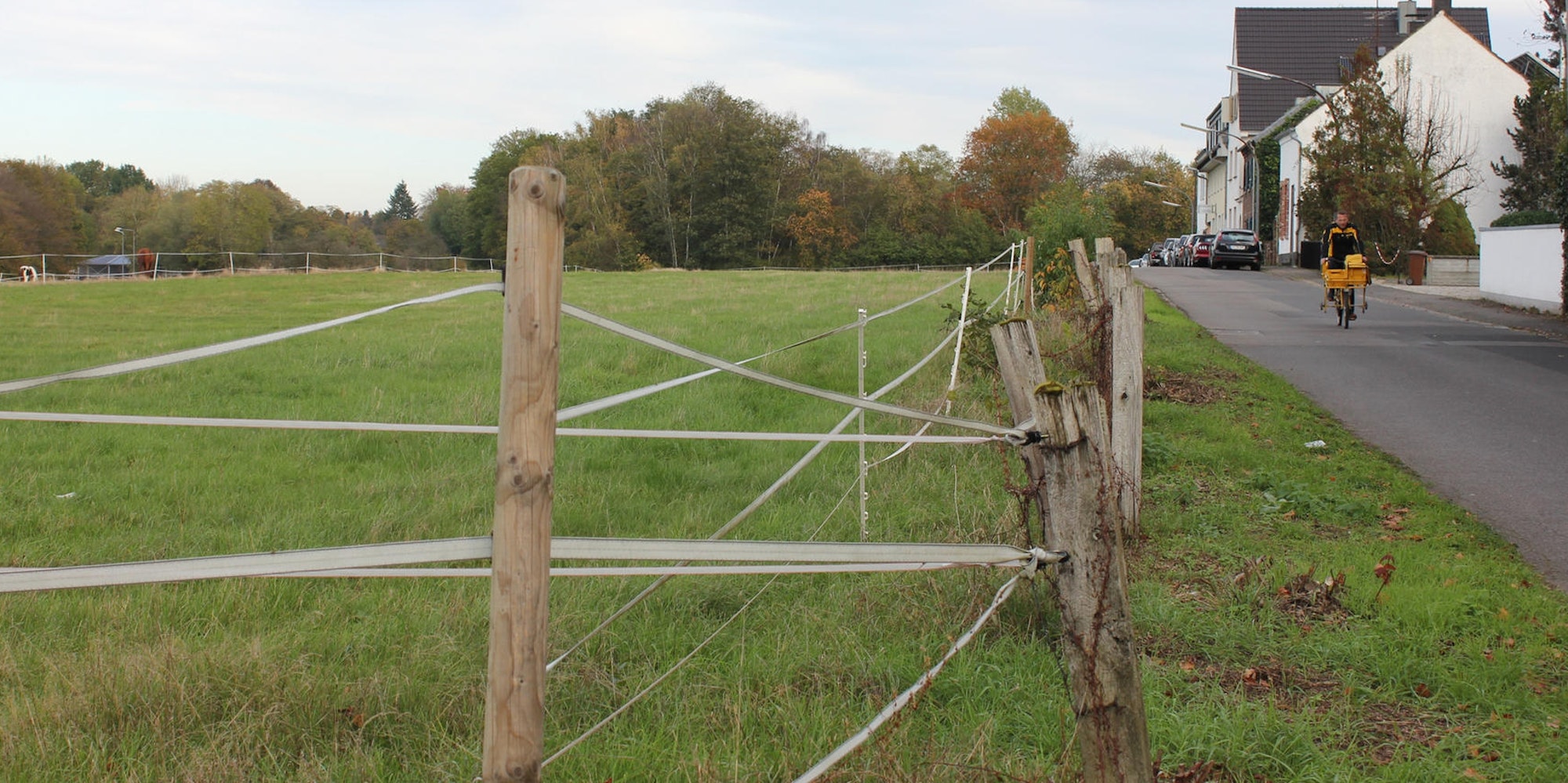 MDS-KSTA-2019-11-07-71-154090191