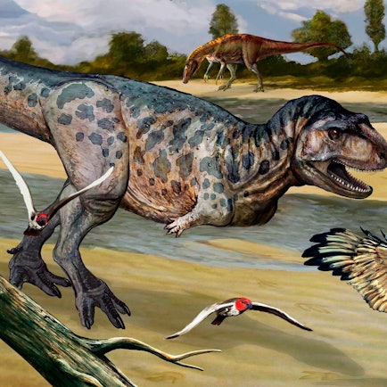 Dino Argentinien dpa 060922