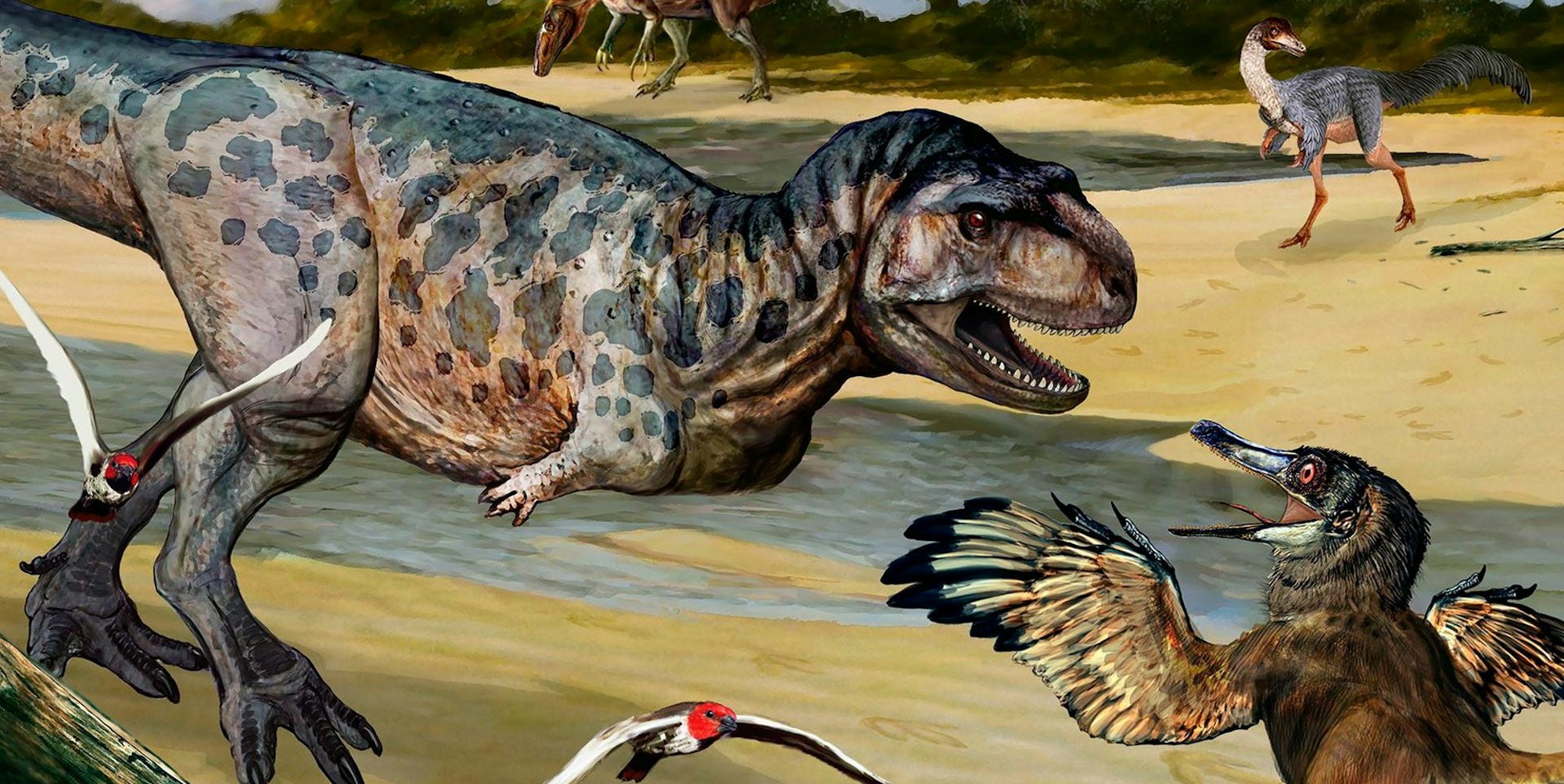 Dino Argentinien dpa 060922