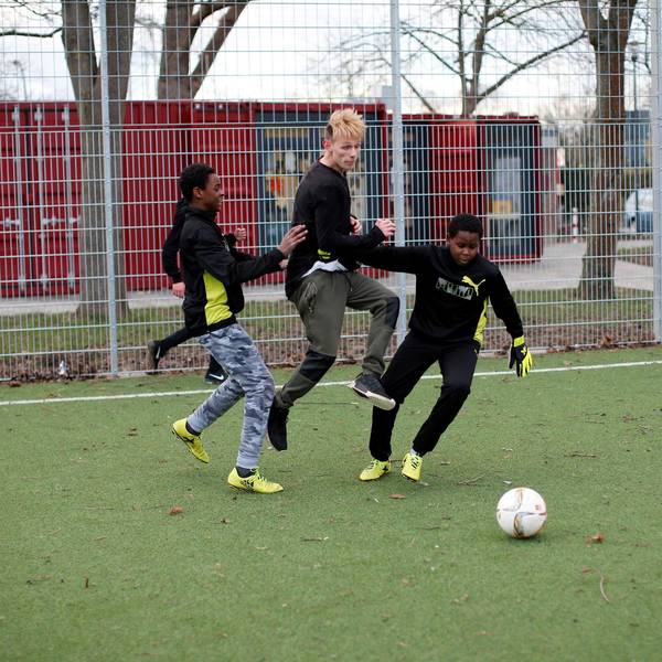 Neuer Inhalt (4)