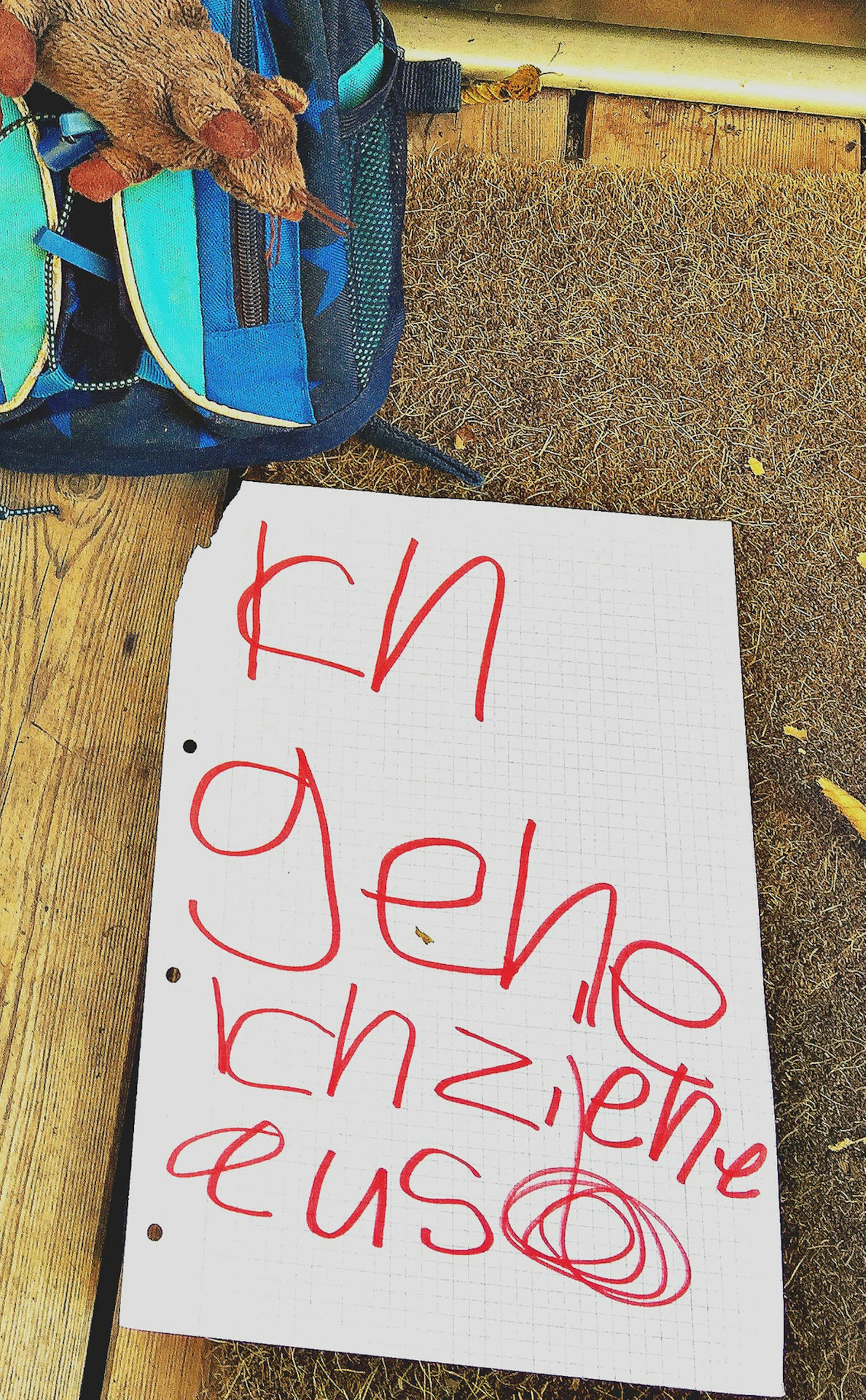 33_Ich gehe ich ziehe aus_Anna 6 Jahre