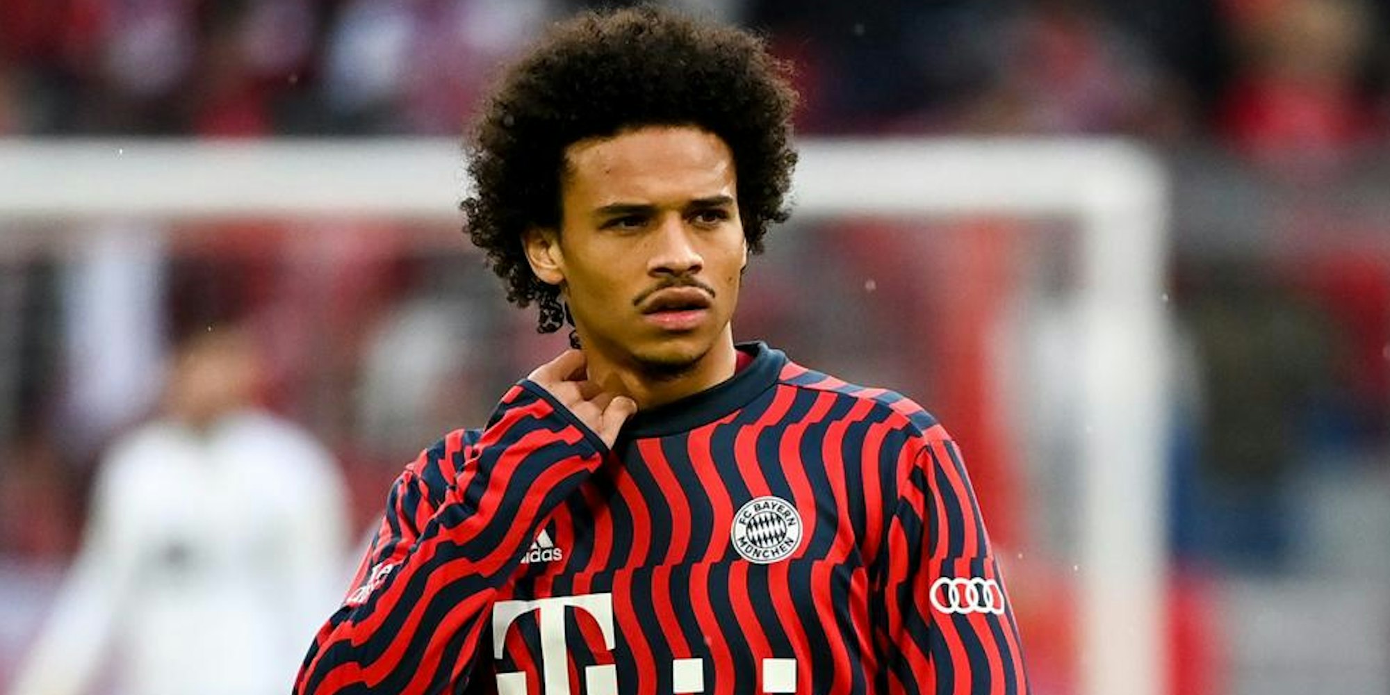 Sane