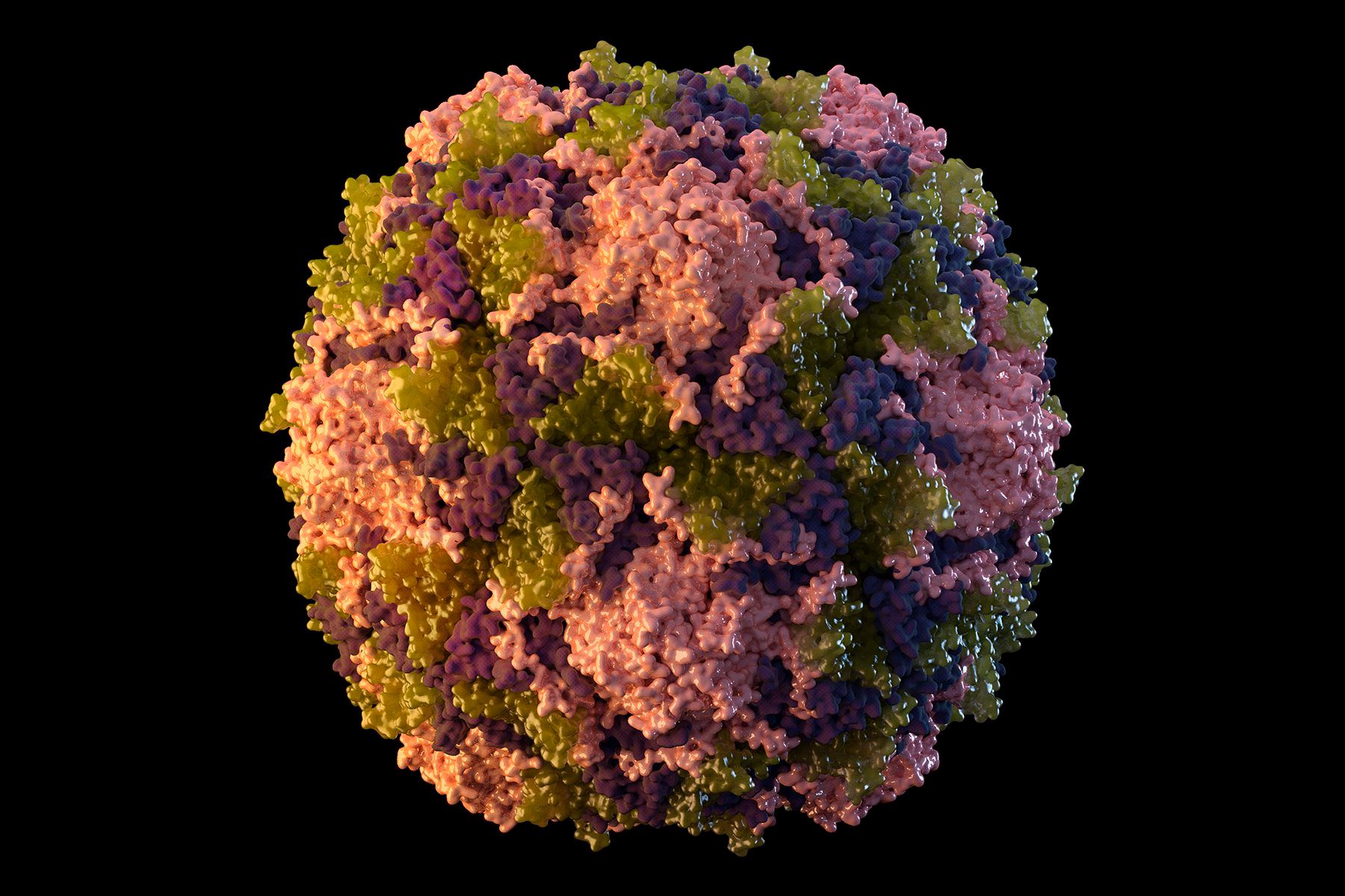 Polio USA 220722