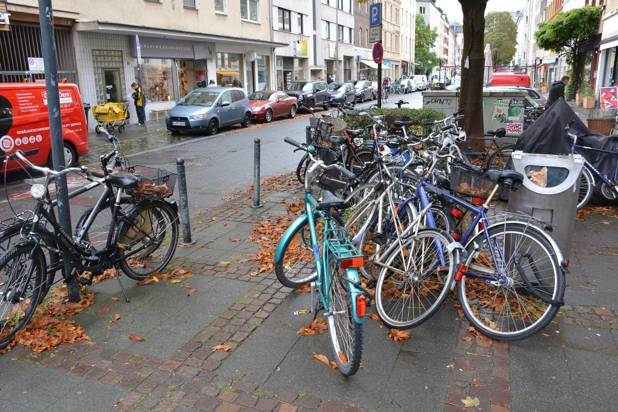 DSC_0434