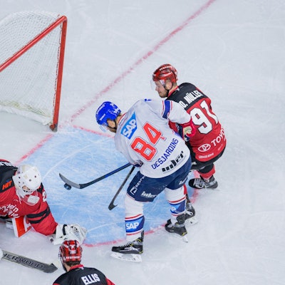 Haie Mannheim 0904