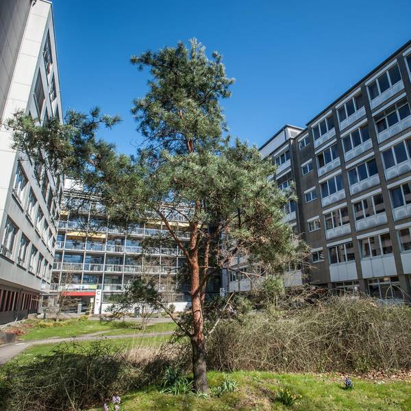 klinikum-ansicht