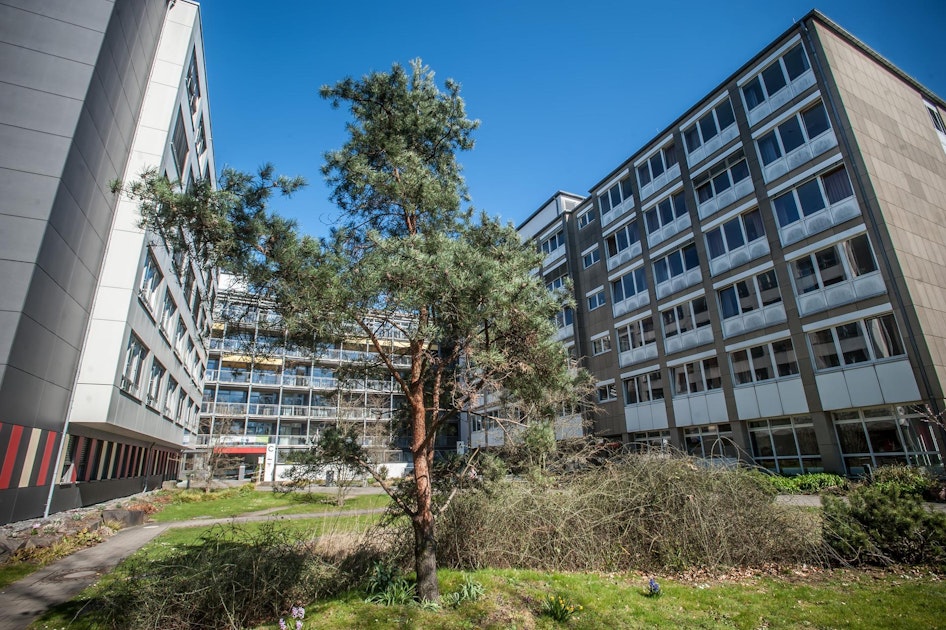 Krankenhäuser Leverkusen: Beide kämpfen im neuen Bedarfsplan für sich ...