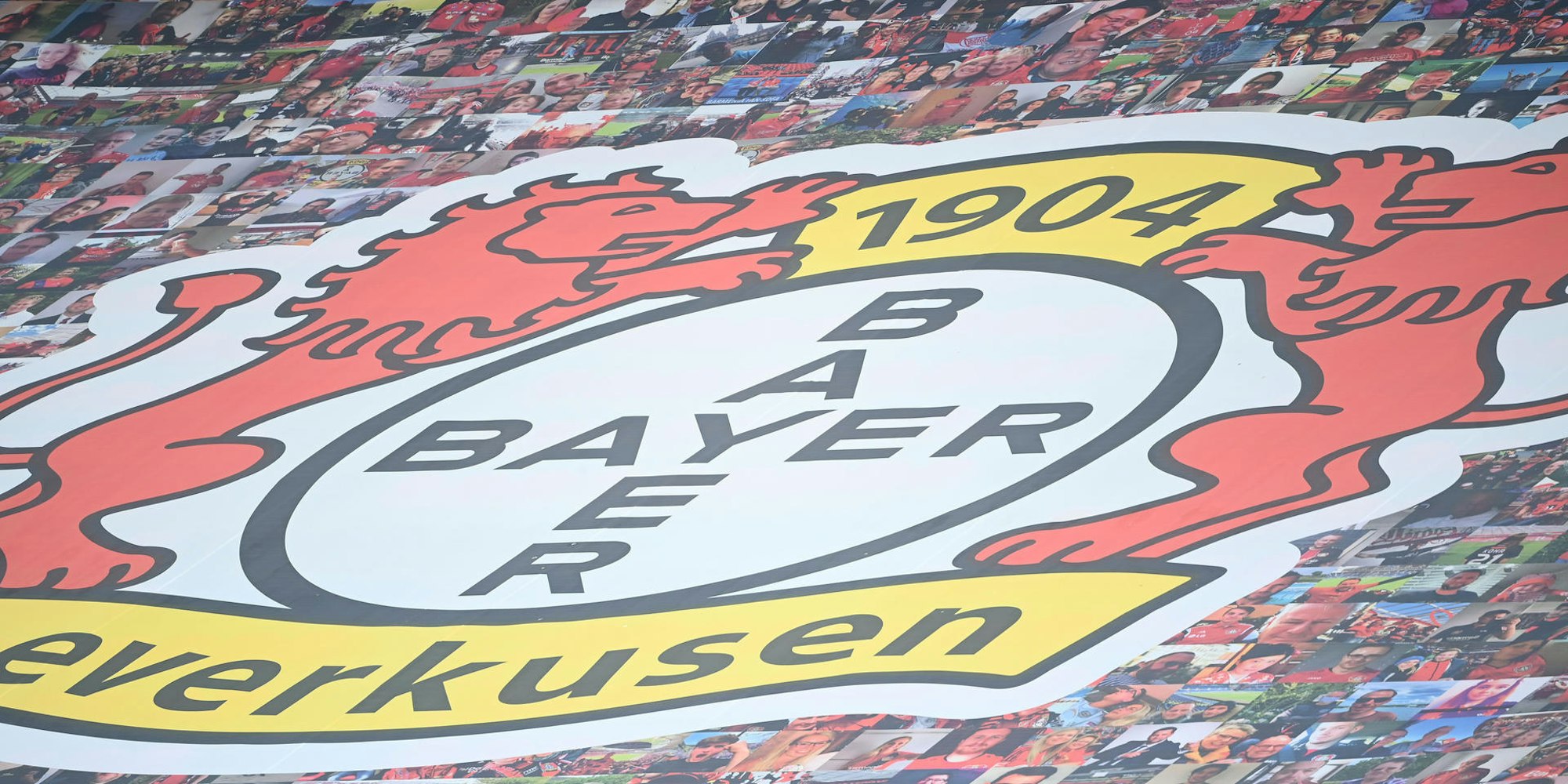 Leverkusen Bayer 50+1 Symbolfoto