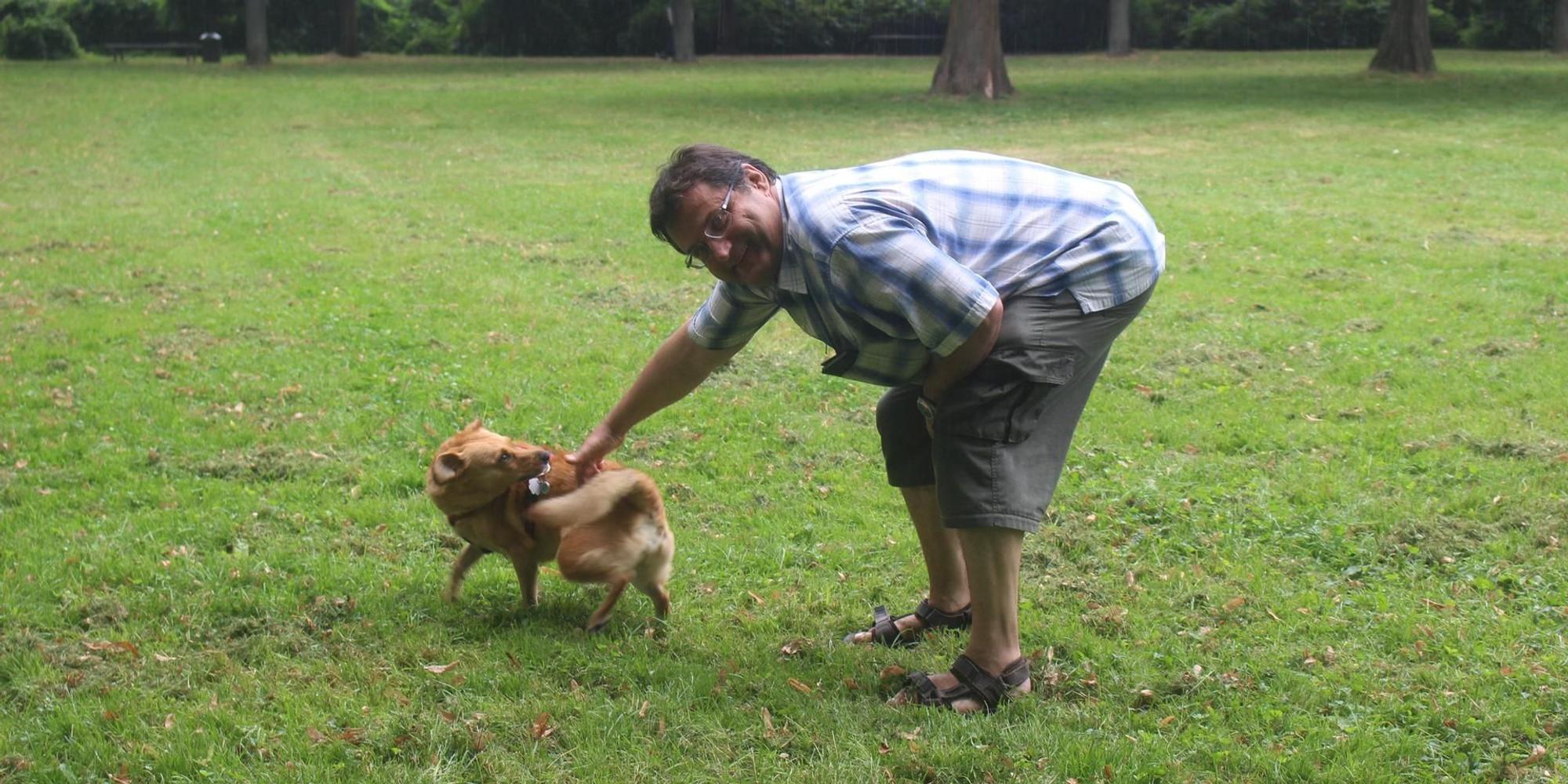 hundefreilauf in nippes