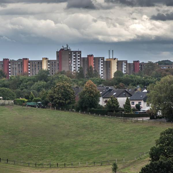 Ergebnisse Heimatcheck Lützenkirchen