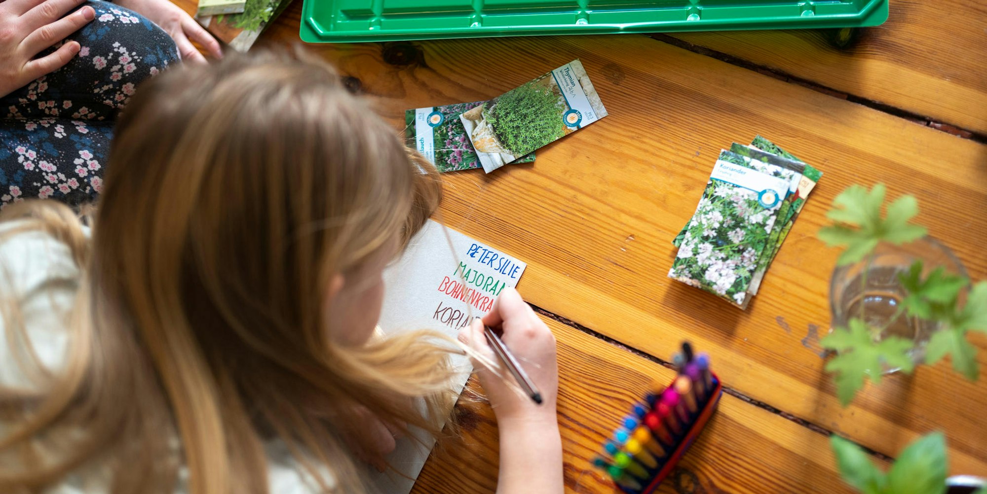 Gruenes_Projekt_fuerkinder kräuter