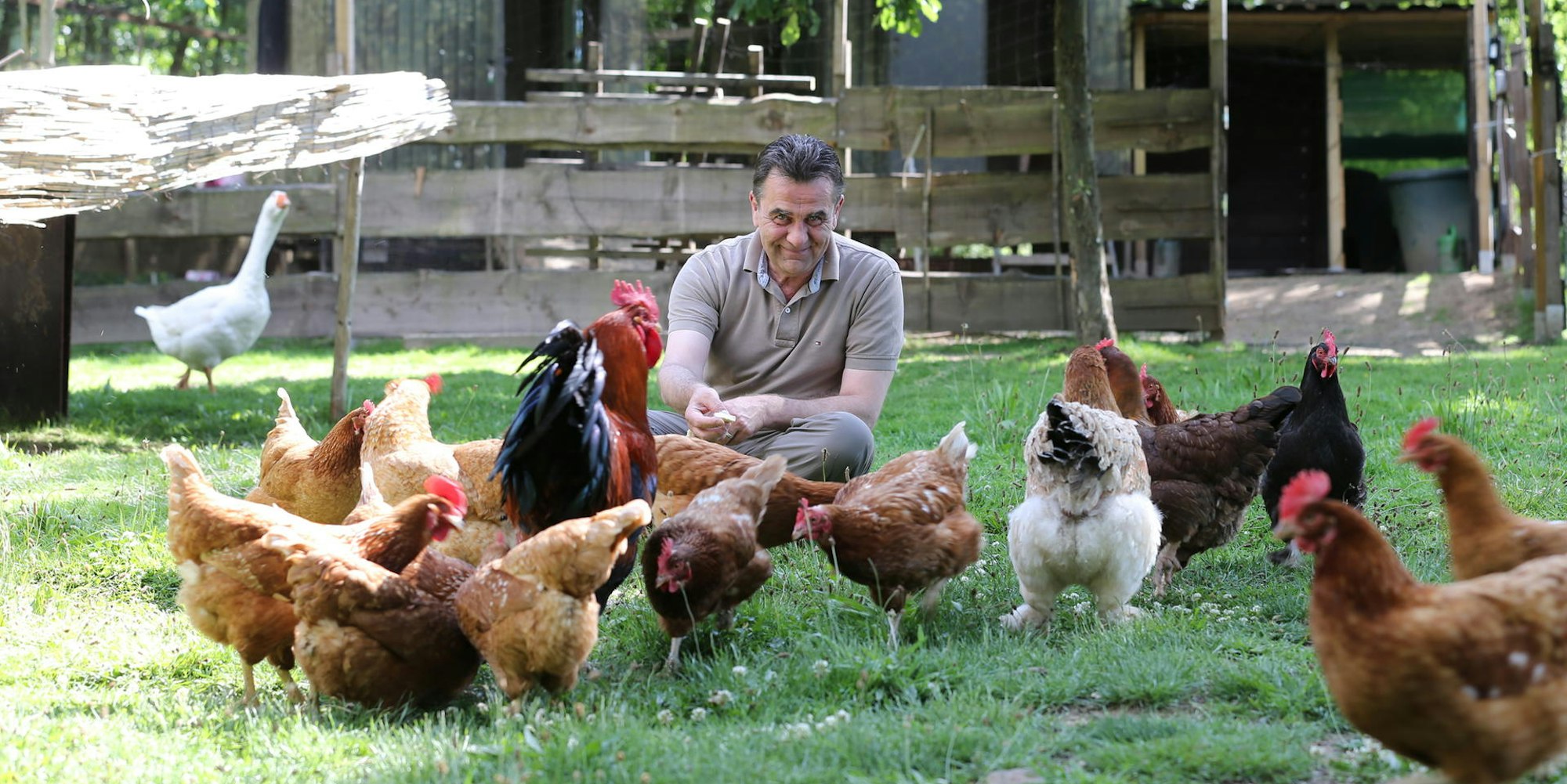 Robert_Becker_Huehnerrettung_THG_1