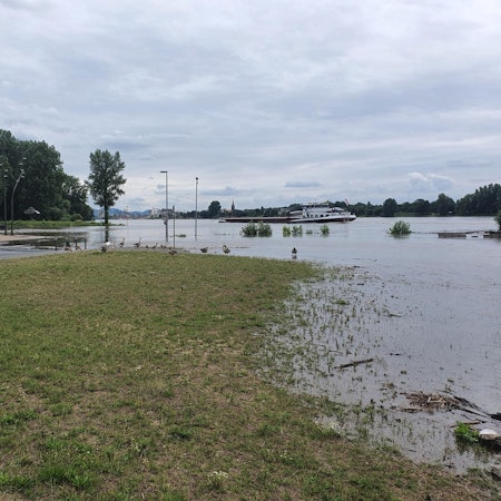 Hochwasserr_Mondorf_Juli