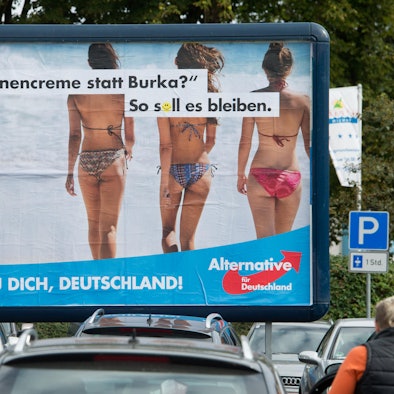 AfD Plakat dpa