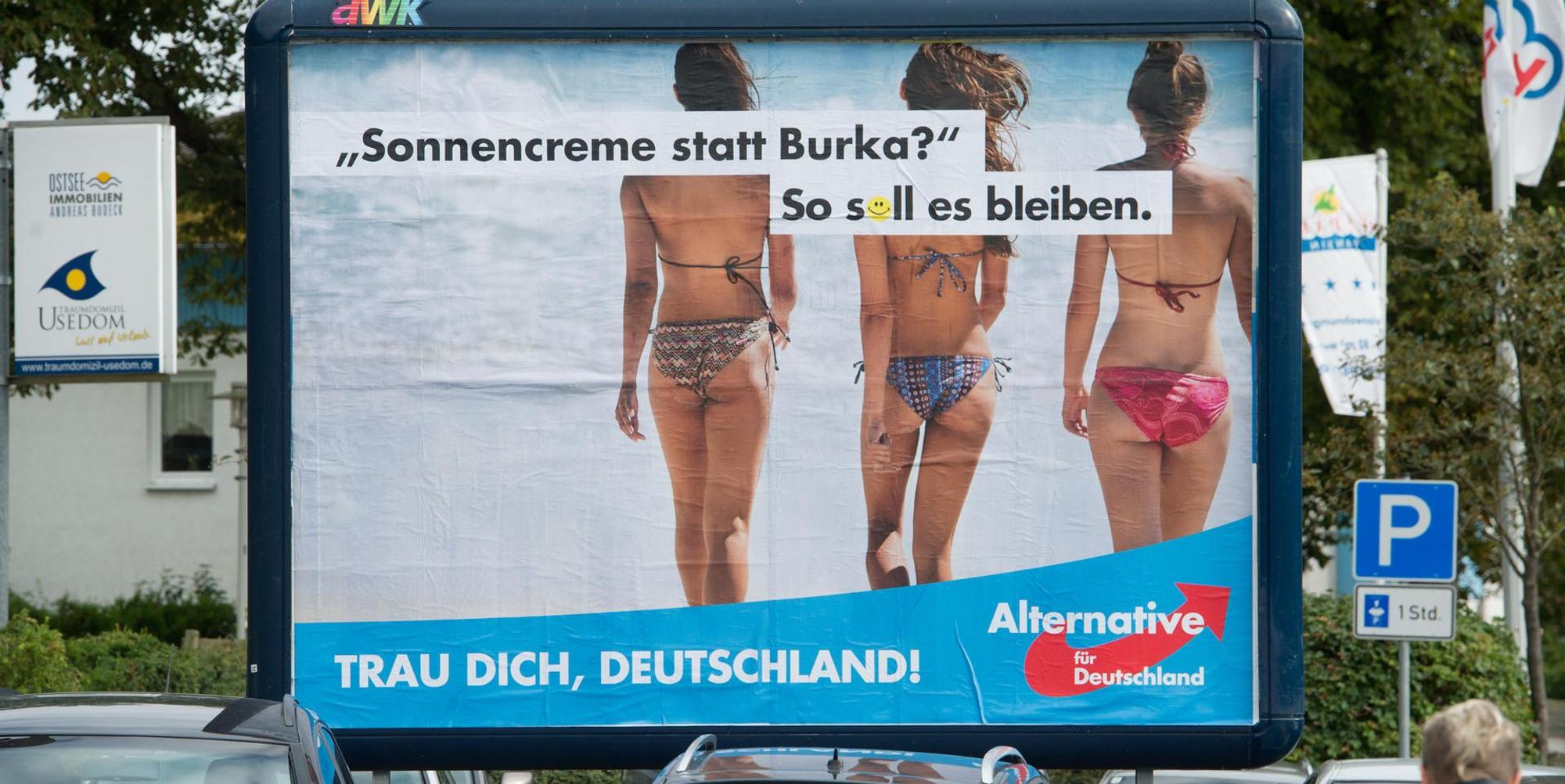 AfD Plakat dpa