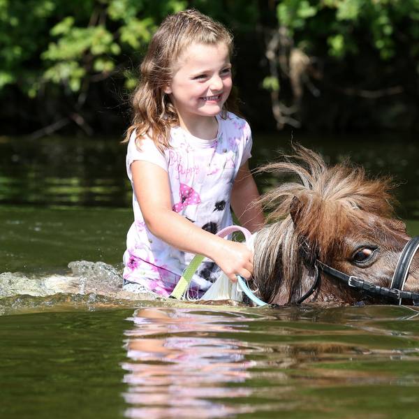 Erfrischung im Wasser mit Pony dpa