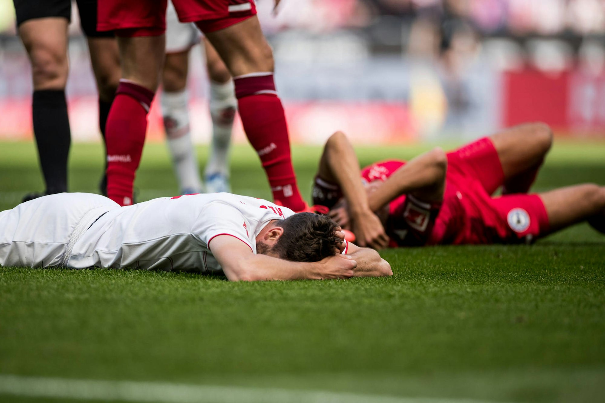 Hector leigt am Boden