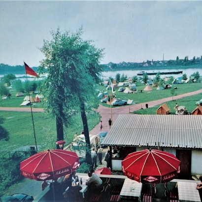 MDS-KSTA-2020-08-21-71-164258258