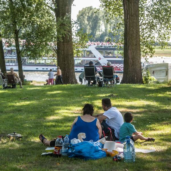 Grillen Hitdorfer Laach Leverkusen 2017