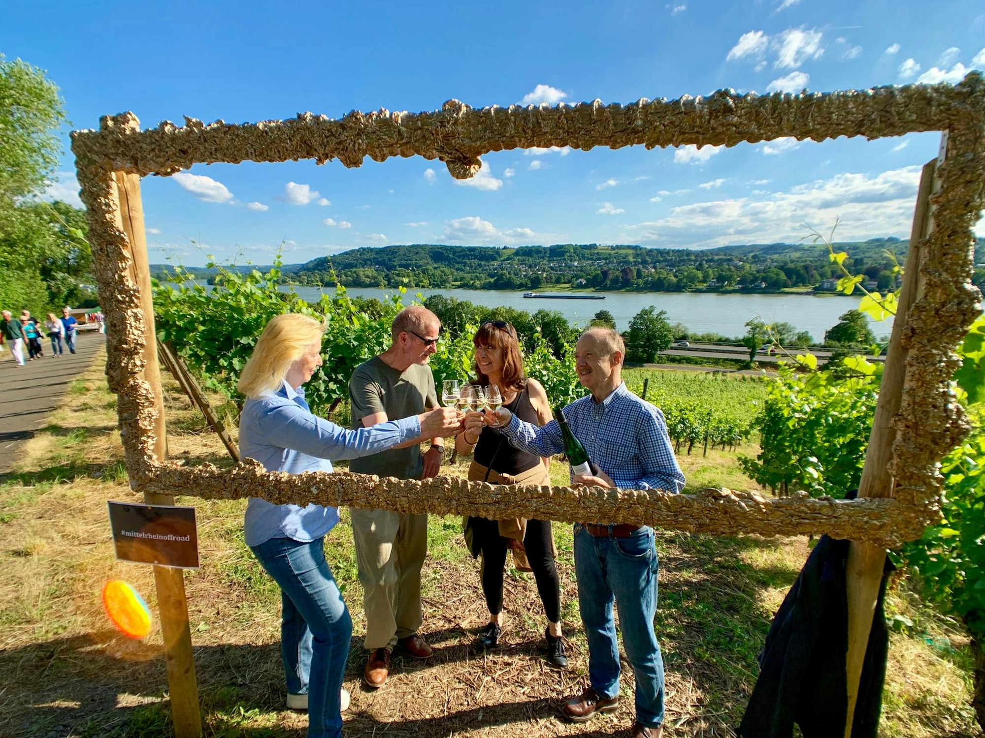 Wein am Rhein11