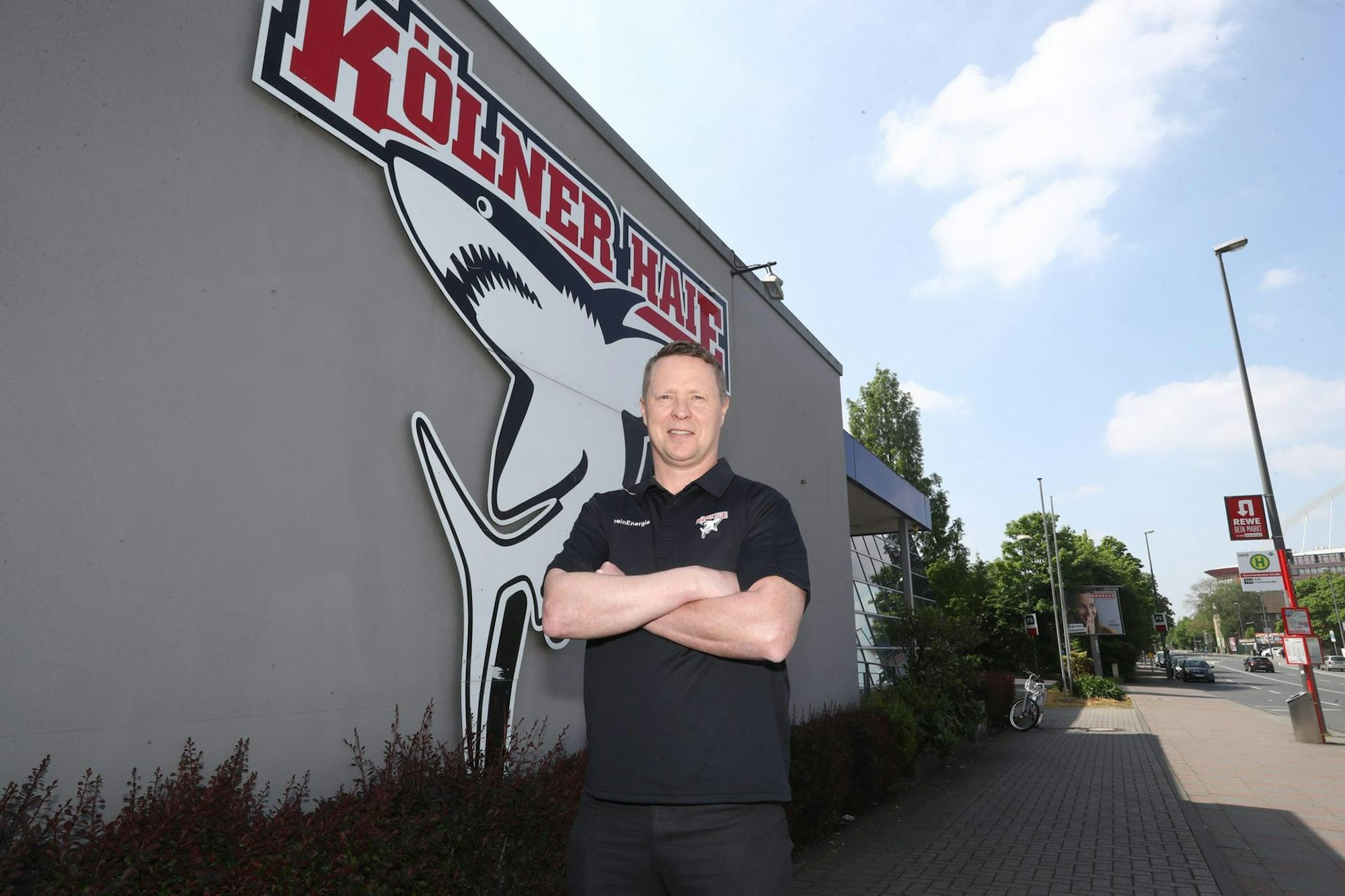 stewartvorder halle