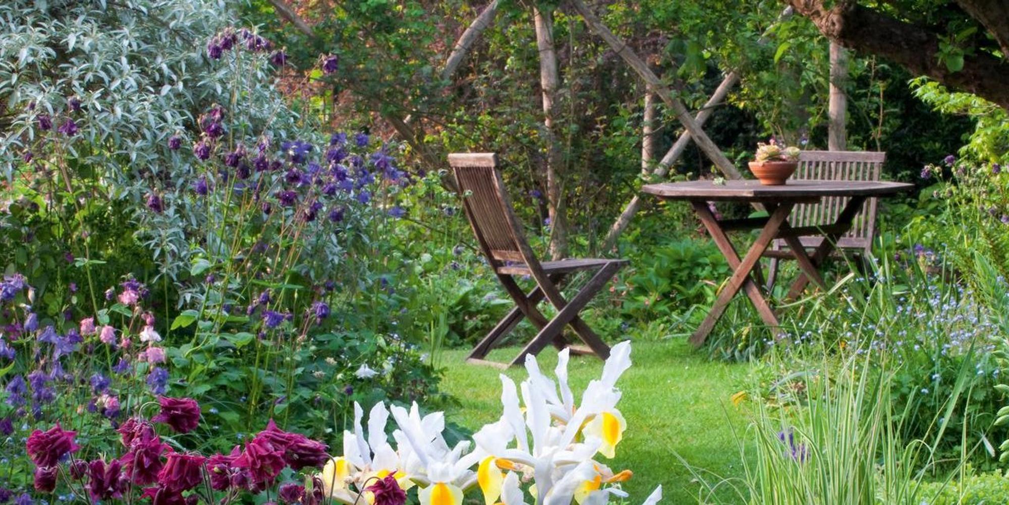 Garten_Symbolbild