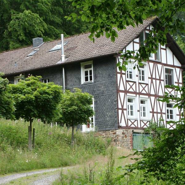 Neuer Inhalt