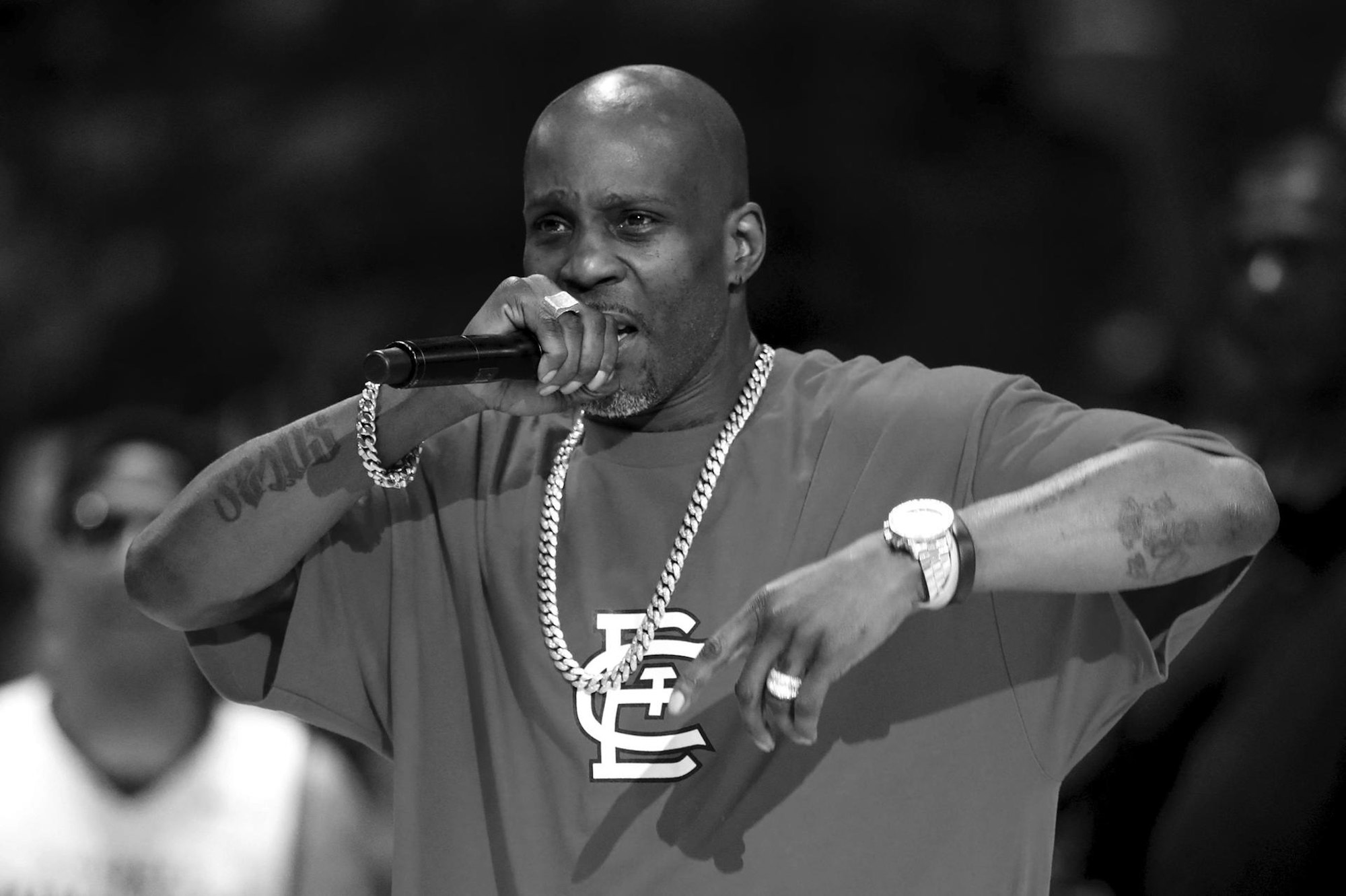DMX sw