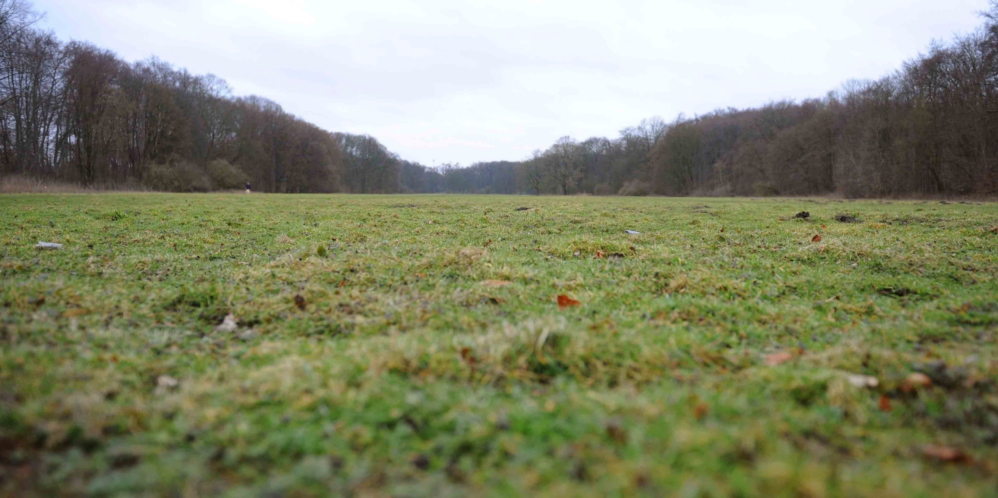 Rakoczy-Gruenguertel3