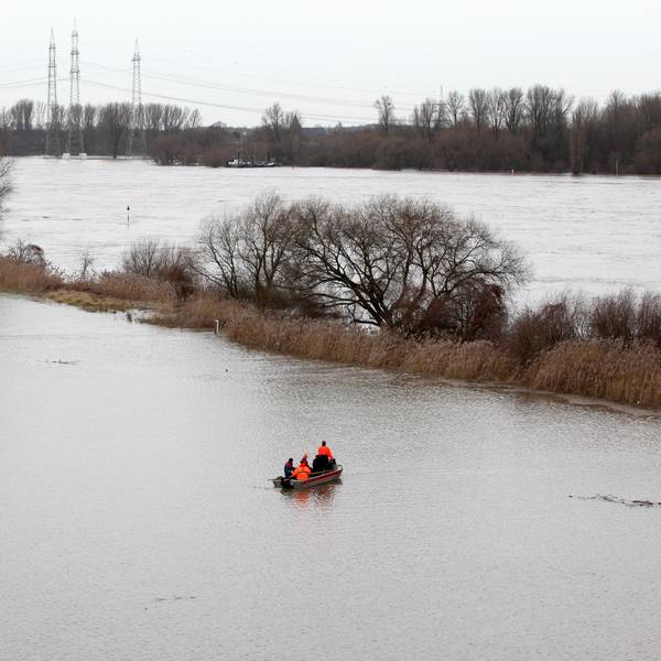 Hochwasser Rettung Tiere 4 Goyert