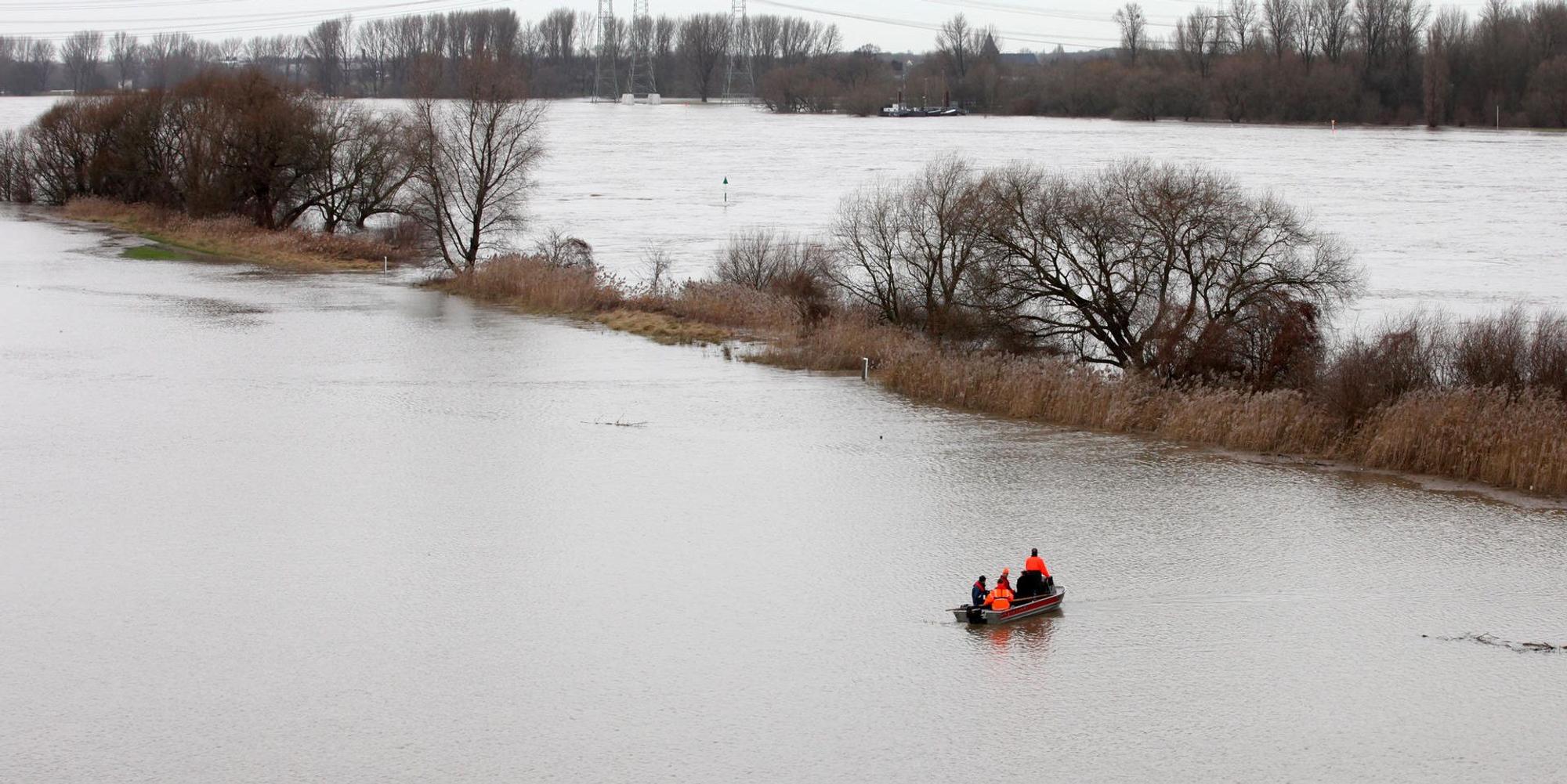 Hochwasser Rettung Tiere 4 Goyert