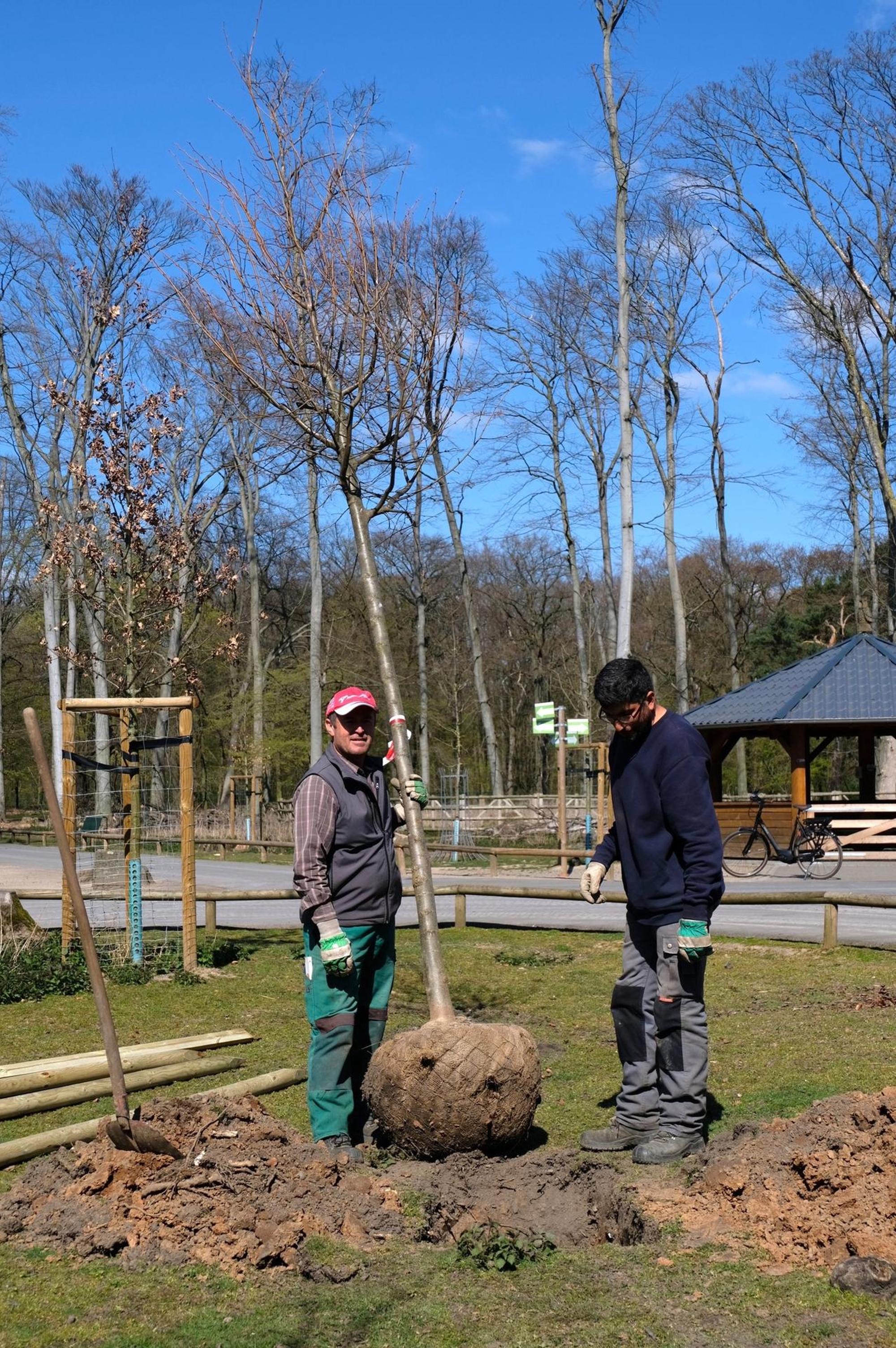 Neuer Inhalt (4)
